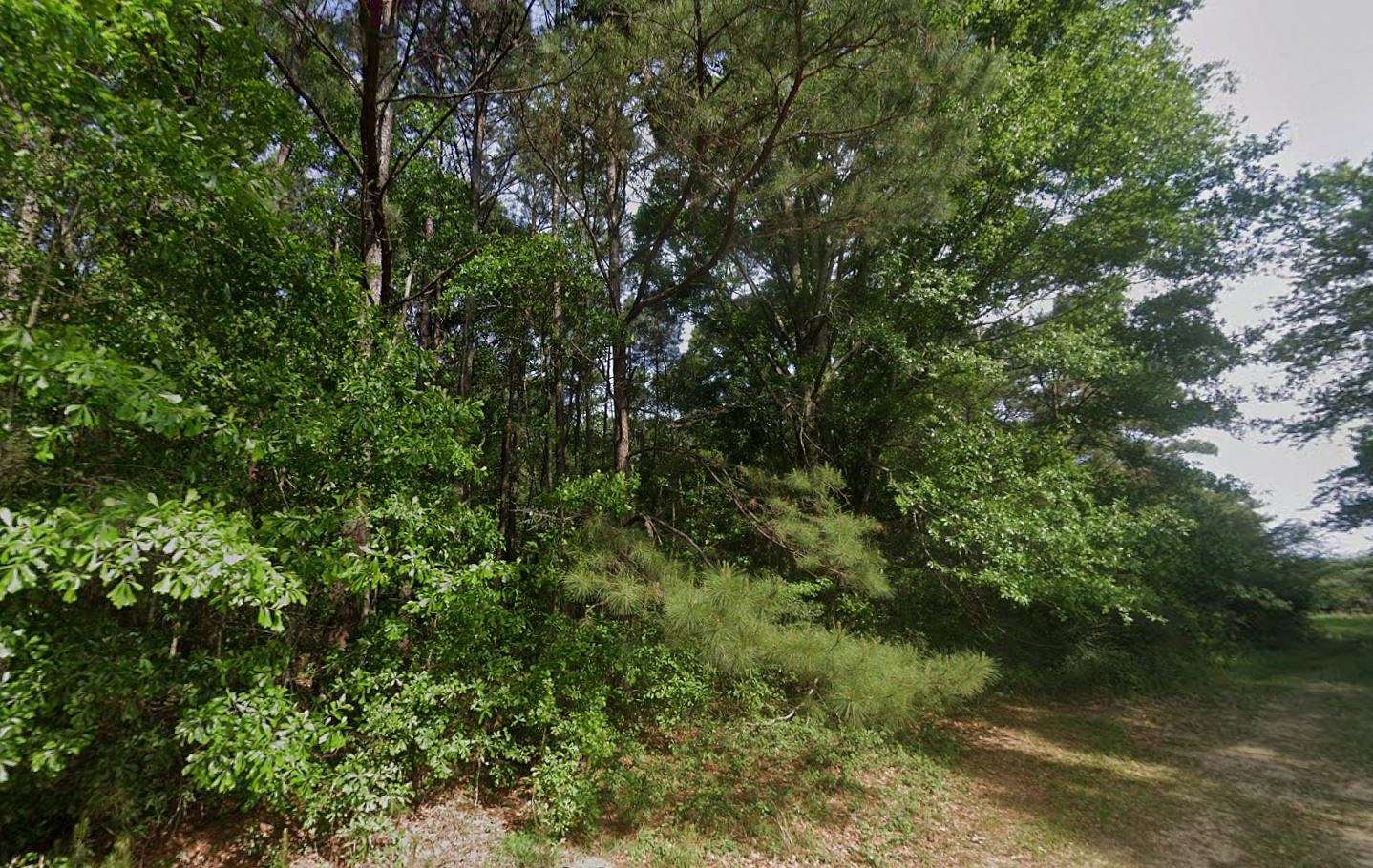 0.28 Acres of Residential Land for Sale in Lumberton, Mississippi