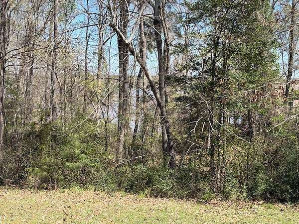 0.66 Acres of Residential Land for Sale in Many, Louisiana