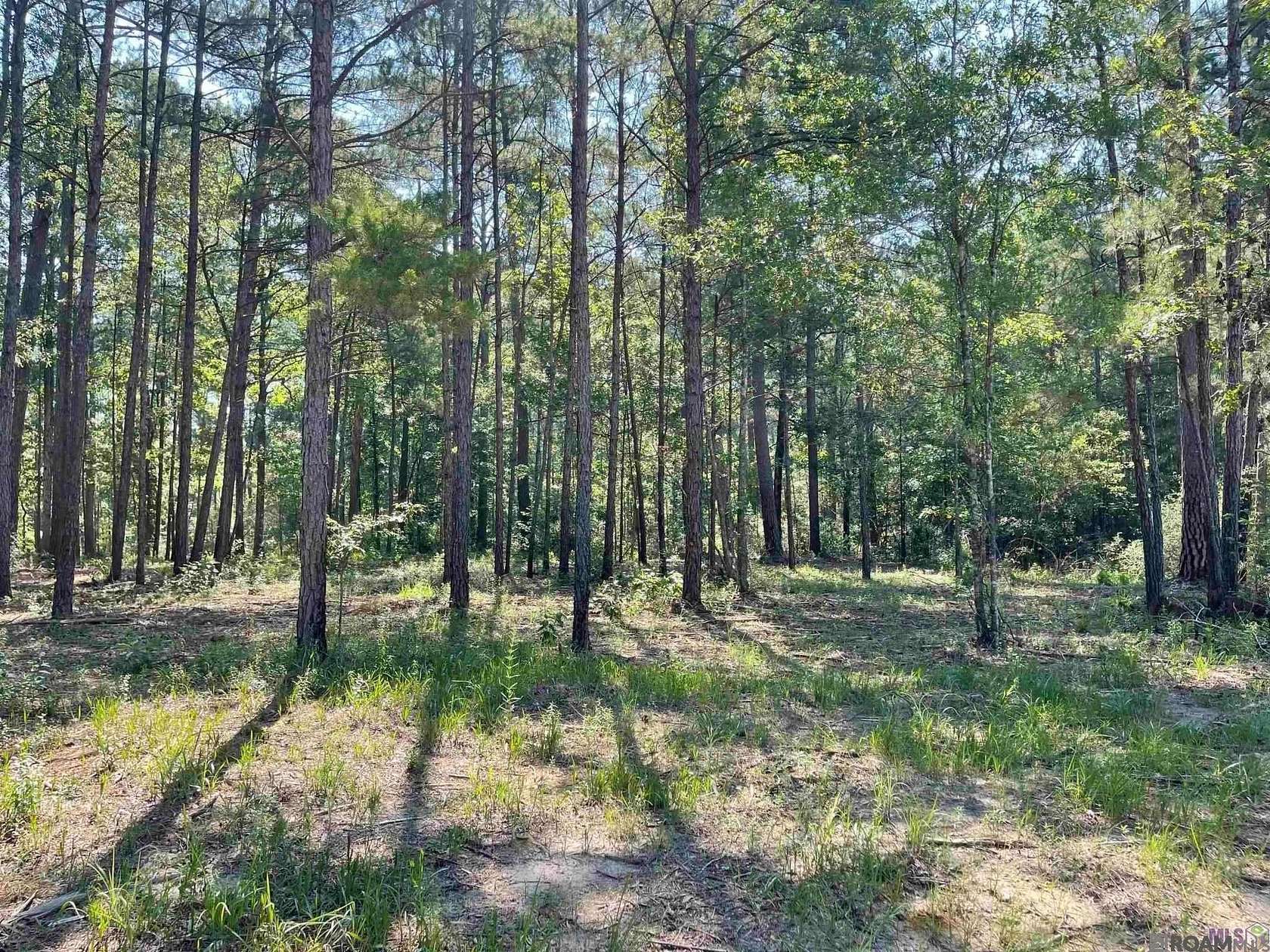 24.8 Acres of Land for Sale in Clinton, Louisiana