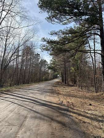 11 Acres of Land for Sale in Overton, Texas