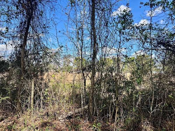 3.52 Acres of Residential Land for Sale in Lakeland, Georgia