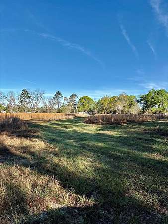 3.52 Acres of Residential Land for Sale in Lakeland, Georgia