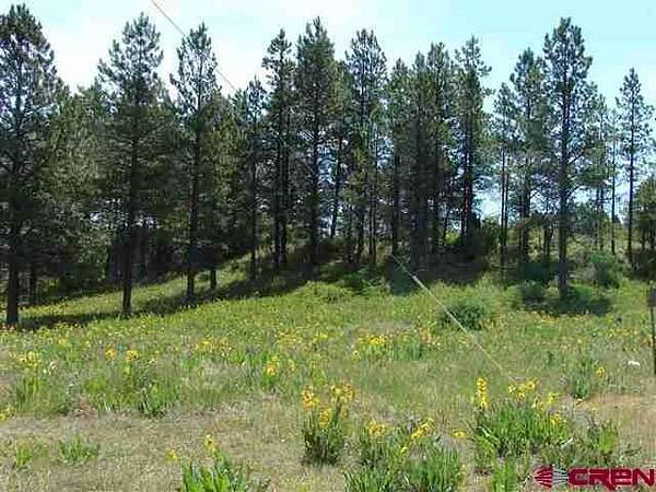 3 Acres of Land for Sale in Pagosa Springs, Colorado