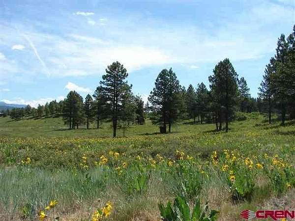 3 Acres of Land for Sale in Pagosa Springs, Colorado
