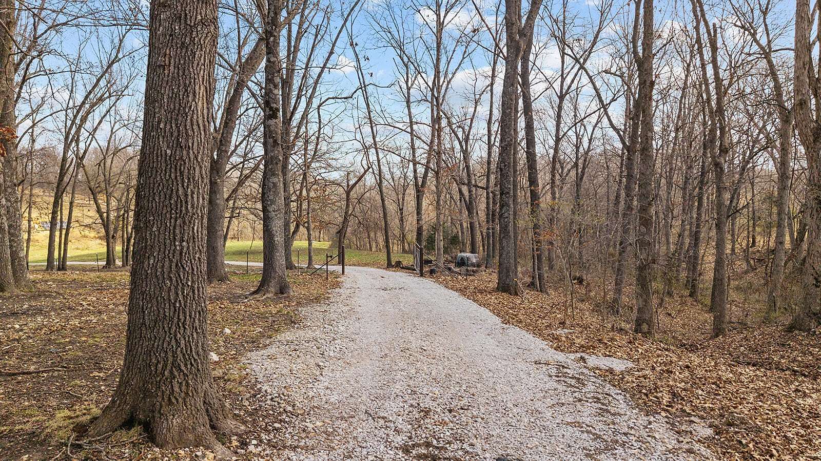 31.3 Acres of Recreational & Residential Land for Sale in Marionville, Missouri