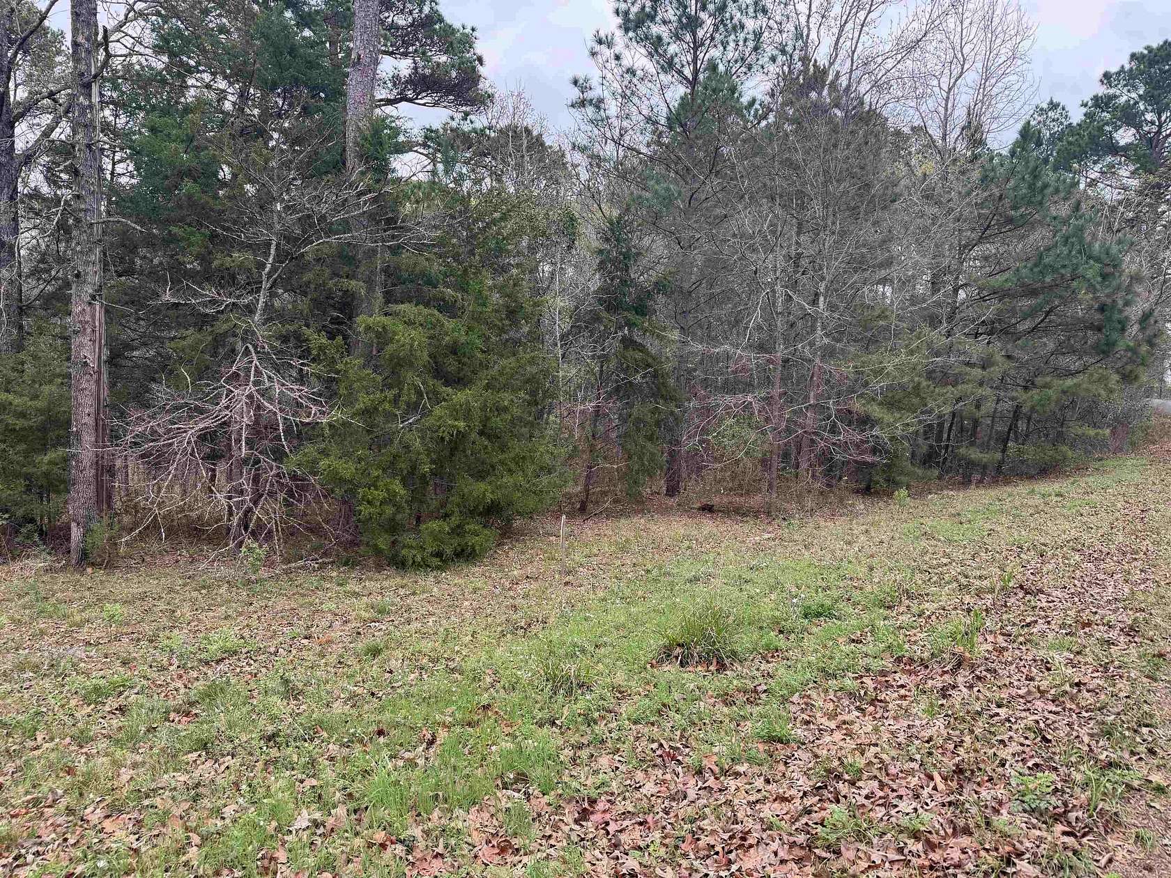 2.35 Acres of Residential Land for Sale in Gladewater, Texas