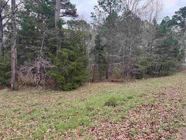 2.35 Acres of Residential Land for Sale in Gladewater, Texas