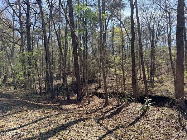 1 Acre of Residential Land for Sale in Macon, Georgia