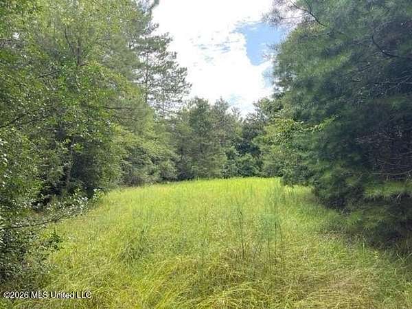 130 Acres of Recreational Land for Sale in Franklinton, Louisiana