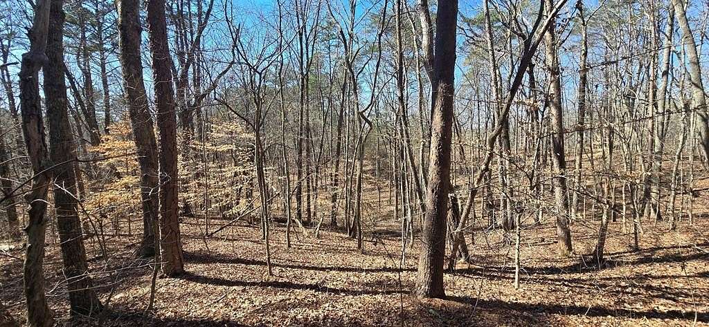 7 Acres of Residential Land for Sale in Talking Rock, Georgia