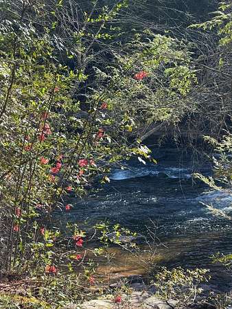 5 Acres of Residential Land for Sale in Dahlonega, Georgia