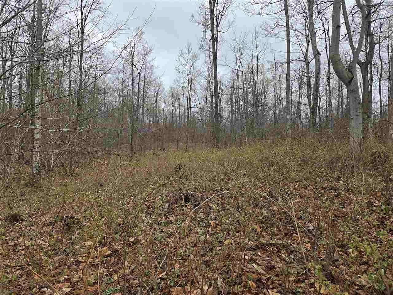 1.62 Acres of Residential Land for Sale in Boyne City, Michigan