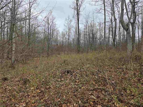 1.62 Acres of Residential Land for Sale in Boyne City, Michigan