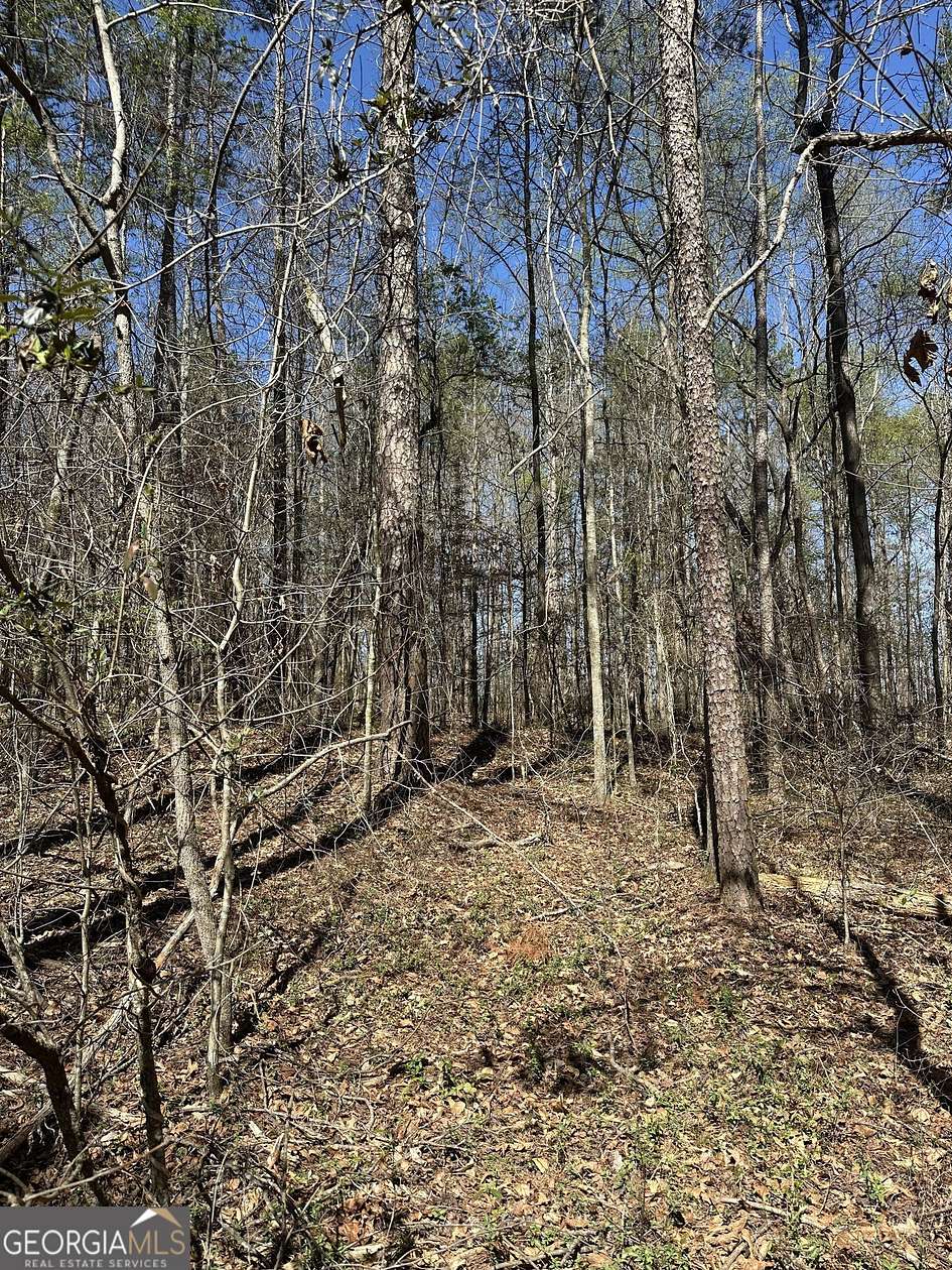 3 Acres of Residential Land for Sale in Carnesville, Georgia