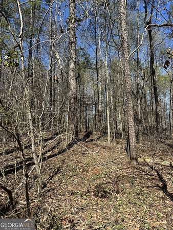 3 Acres of Residential Land for Sale in Carnesville, Georgia