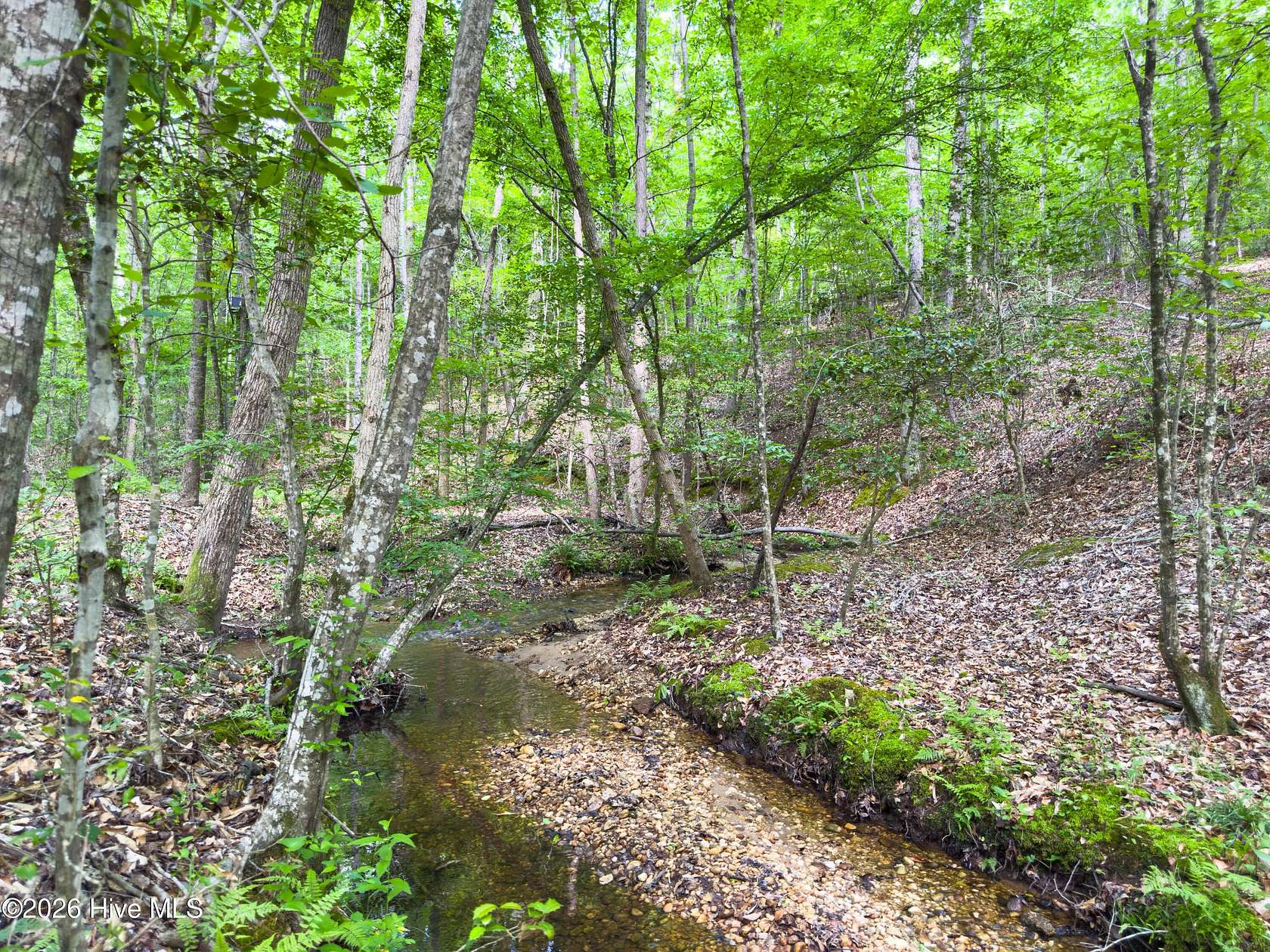 14 Acres of Land for Sale in Rockingham, North Carolina