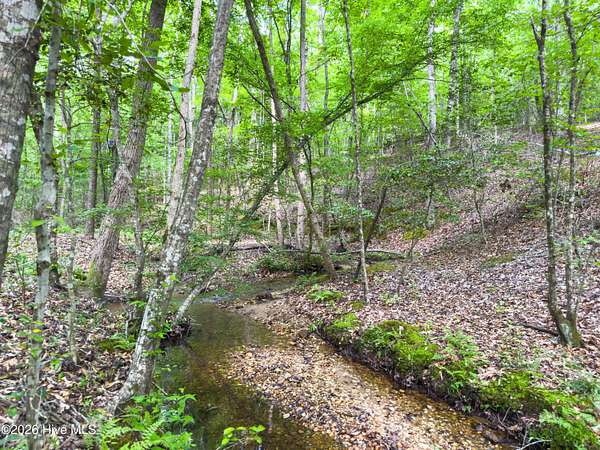 14 Acres of Land for Sale in Rockingham, North Carolina