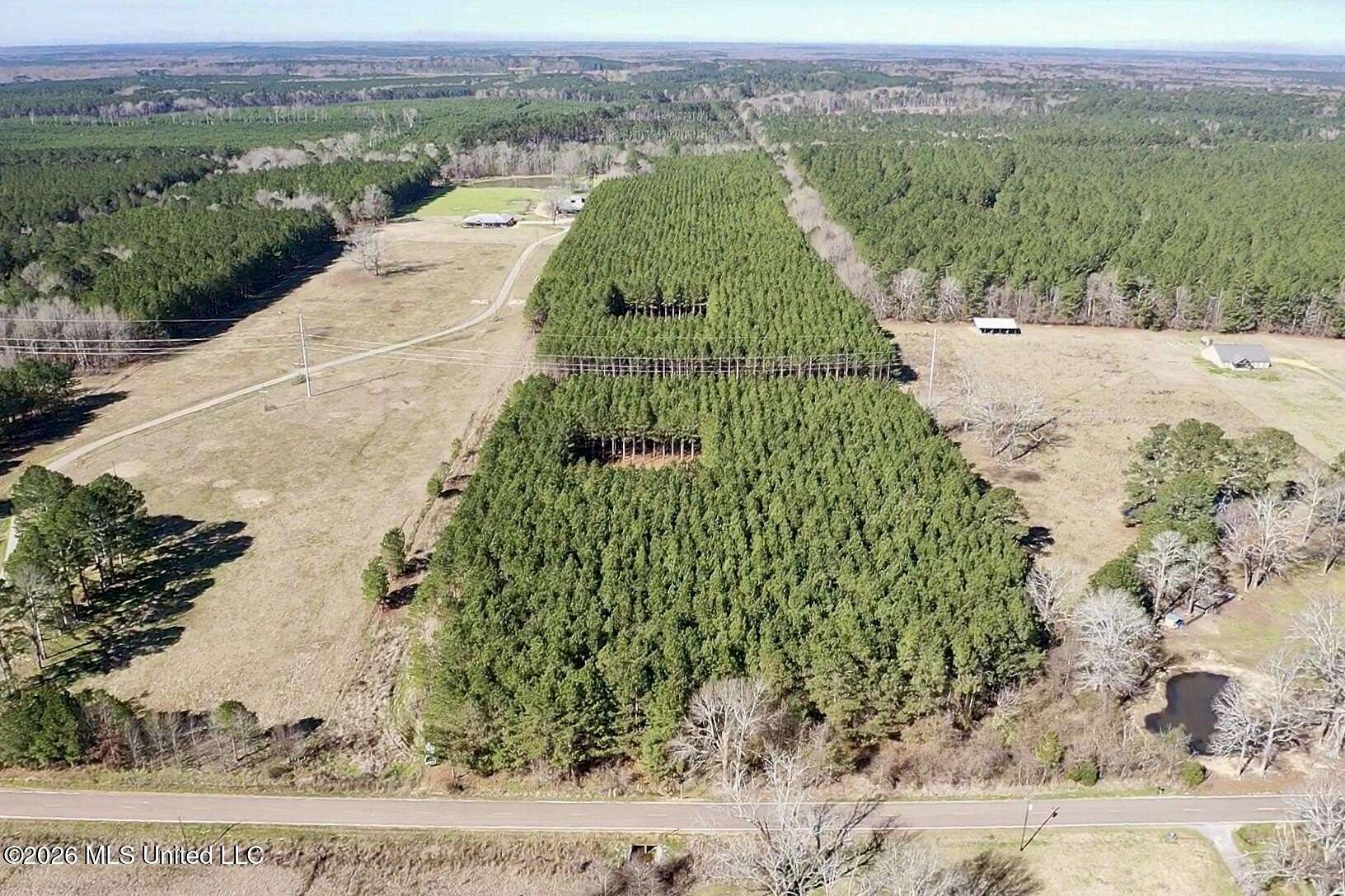 26.2 Acres of Land for Sale in Morton, Mississippi