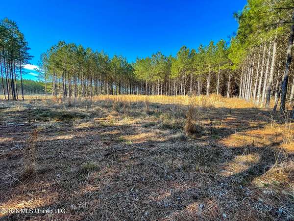 26.2 Acres of Land for Sale in Morton, Mississippi