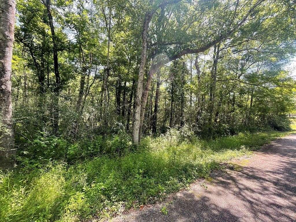 2 Acres of Land for Sale in Picayune, Mississippi