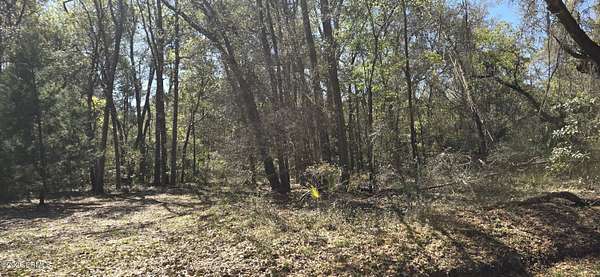 0.58 Acres of Residential Land for Sale in Saint Helena Island, South Carolina