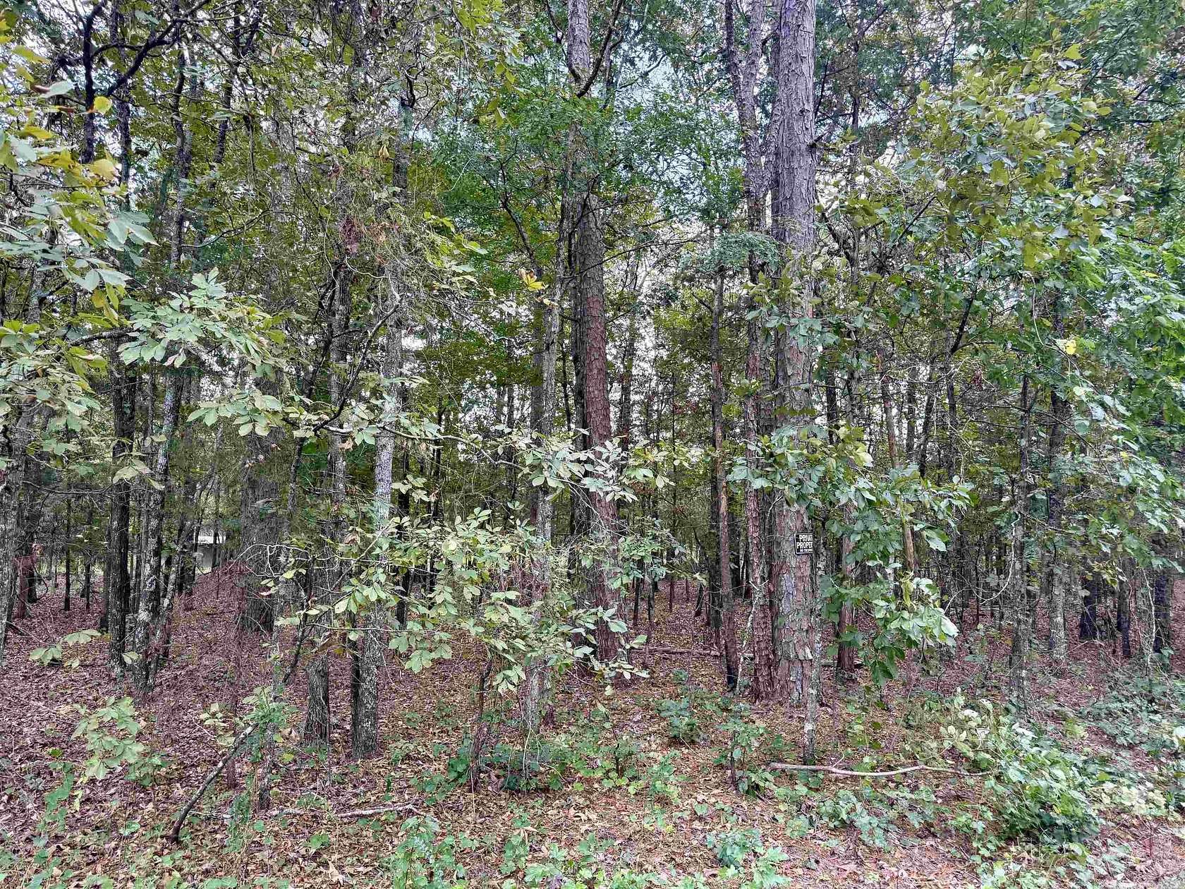 1.3 Acres of Residential Land for Sale in Higden, Arkansas