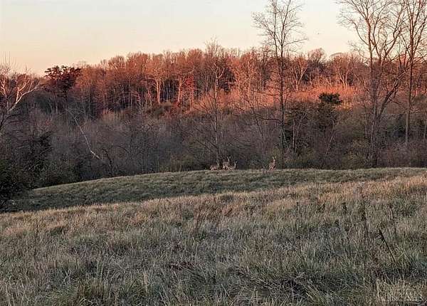 19.3 Acres of Recreational & Residential Land for Sale in Franklin Township, Ohio