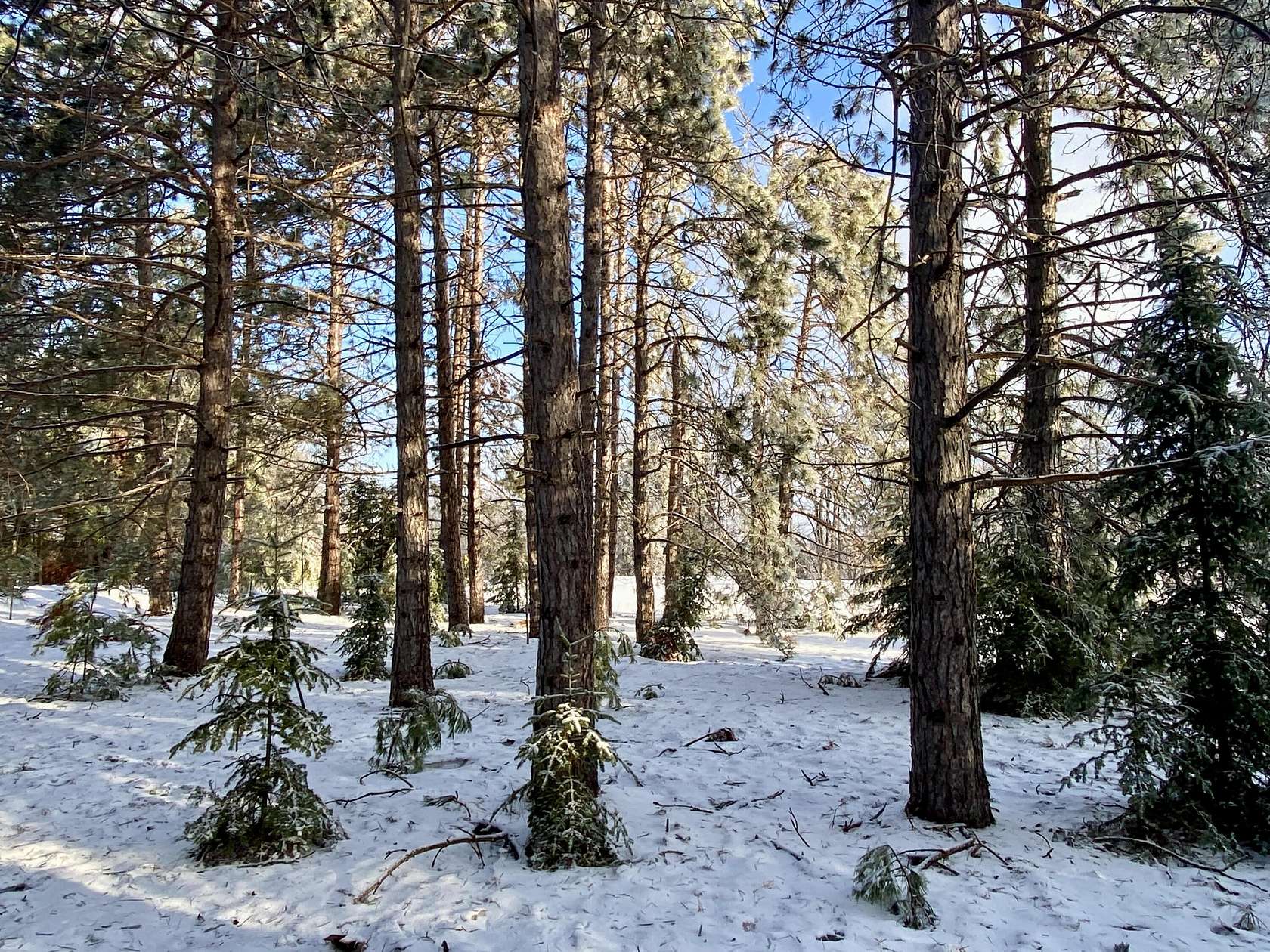 2.25 Acres of Land for Sale in Gaylord, Michigan