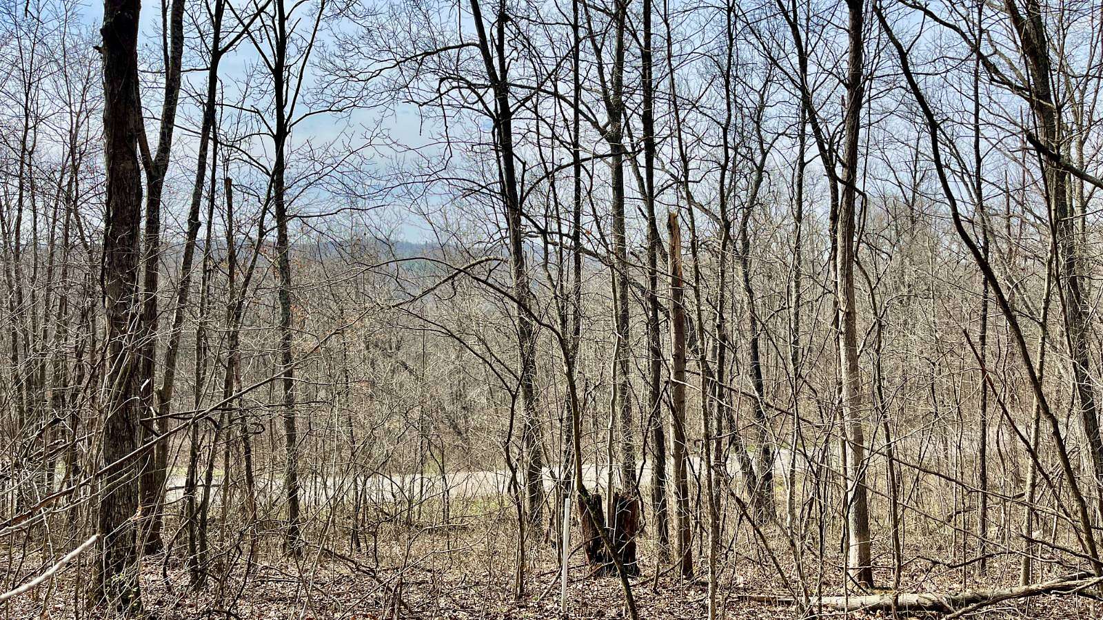 14 Acres of Recreational & Residential Land for Sale in Glouster, Ohio