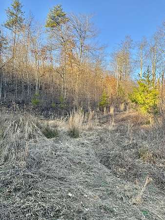 18.9 Acres of Land for Sale in Manchester, Kentucky