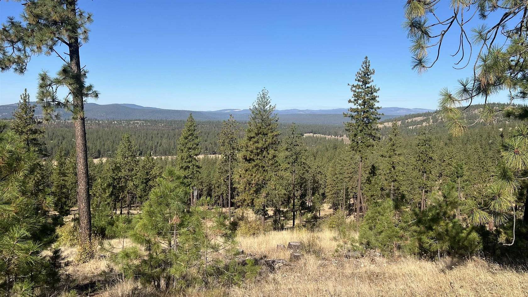 20 Acres of Recreational & Residential Land for Sale in Tumtum, Washington