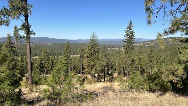 20 Acres of Recreational & Residential Land for Sale in Tumtum, Washington