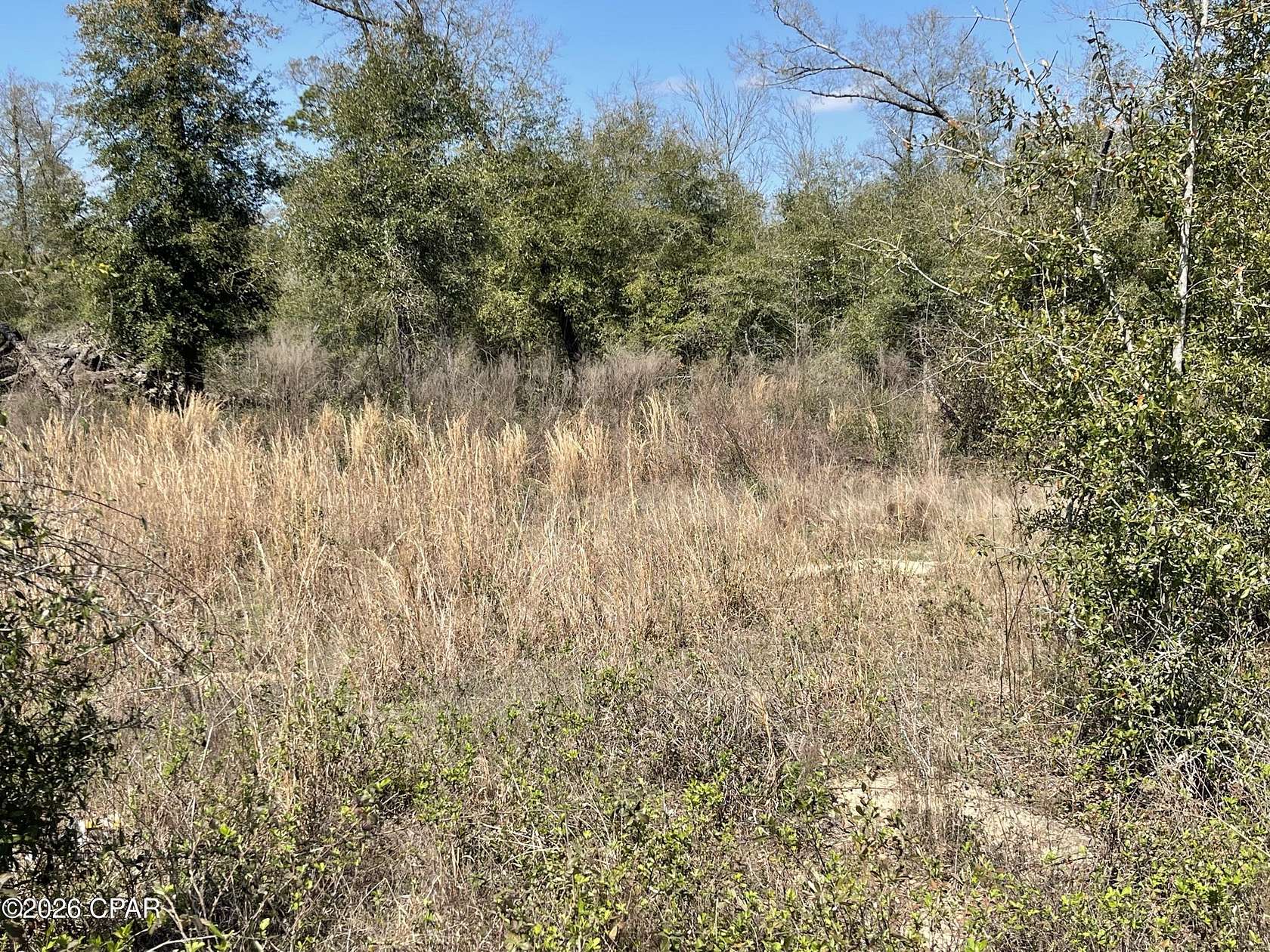 10 Acres of Residential Land for Sale in Bascom, Florida