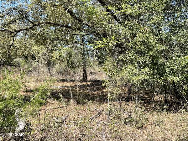 10 Acres of Residential Land for Sale in Bascom, Florida