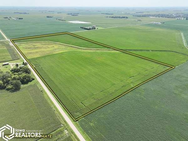 73 Acres of Land for Sale in Buffalo Center, Iowa