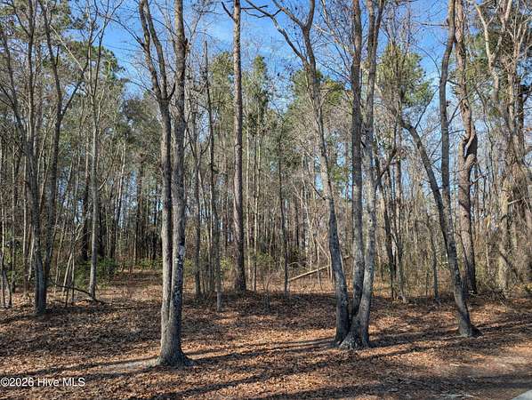 0.66 Acres of Residential Land for Sale in Wallace, North Carolina