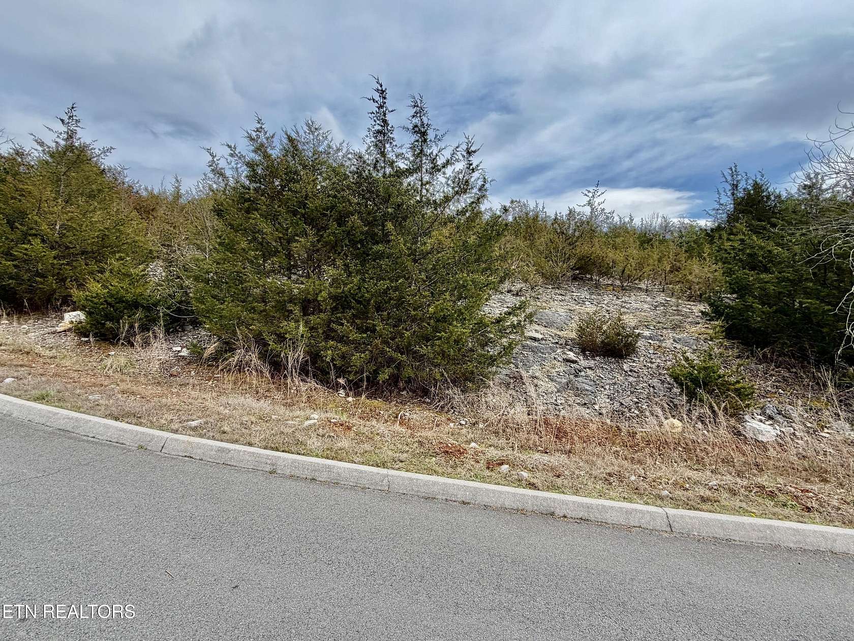 1.53 Acres of Residential Land for Sale in Tazewell, Tennessee