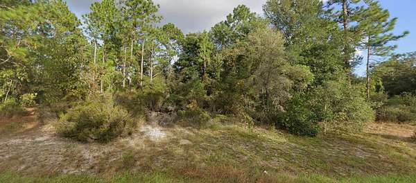 0.23 Acres of Residential Land for Sale in Interlachen, Florida
