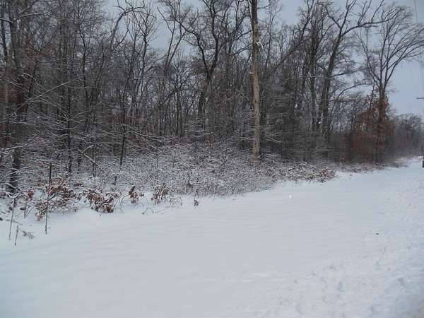 10 Acres of Recreational & Residential Land for Sale in Harrison, Michigan