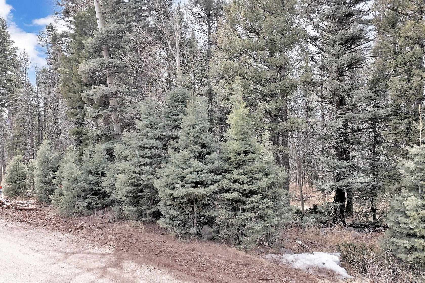 0.79 Acres of Residential Land for Sale in Angel Fire, New Mexico