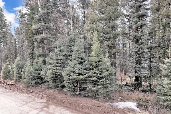 0.79 Acres of Residential Land for Sale in Angel Fire, New Mexico