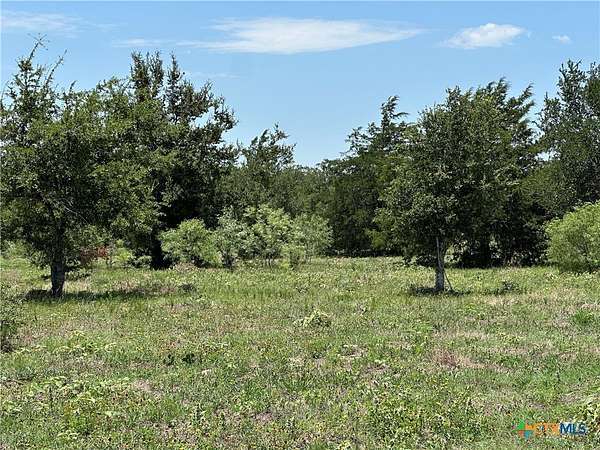 10.1 Acres of Land for Sale in Smithville, Texas
