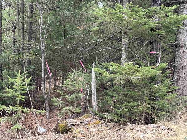 9 Acres of Residential Land for Sale in Duluth, Minnesota