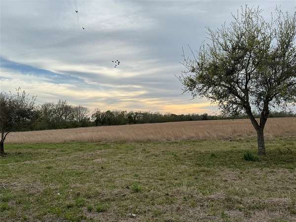 29 Acres of Land for Sale in Danbury, Texas