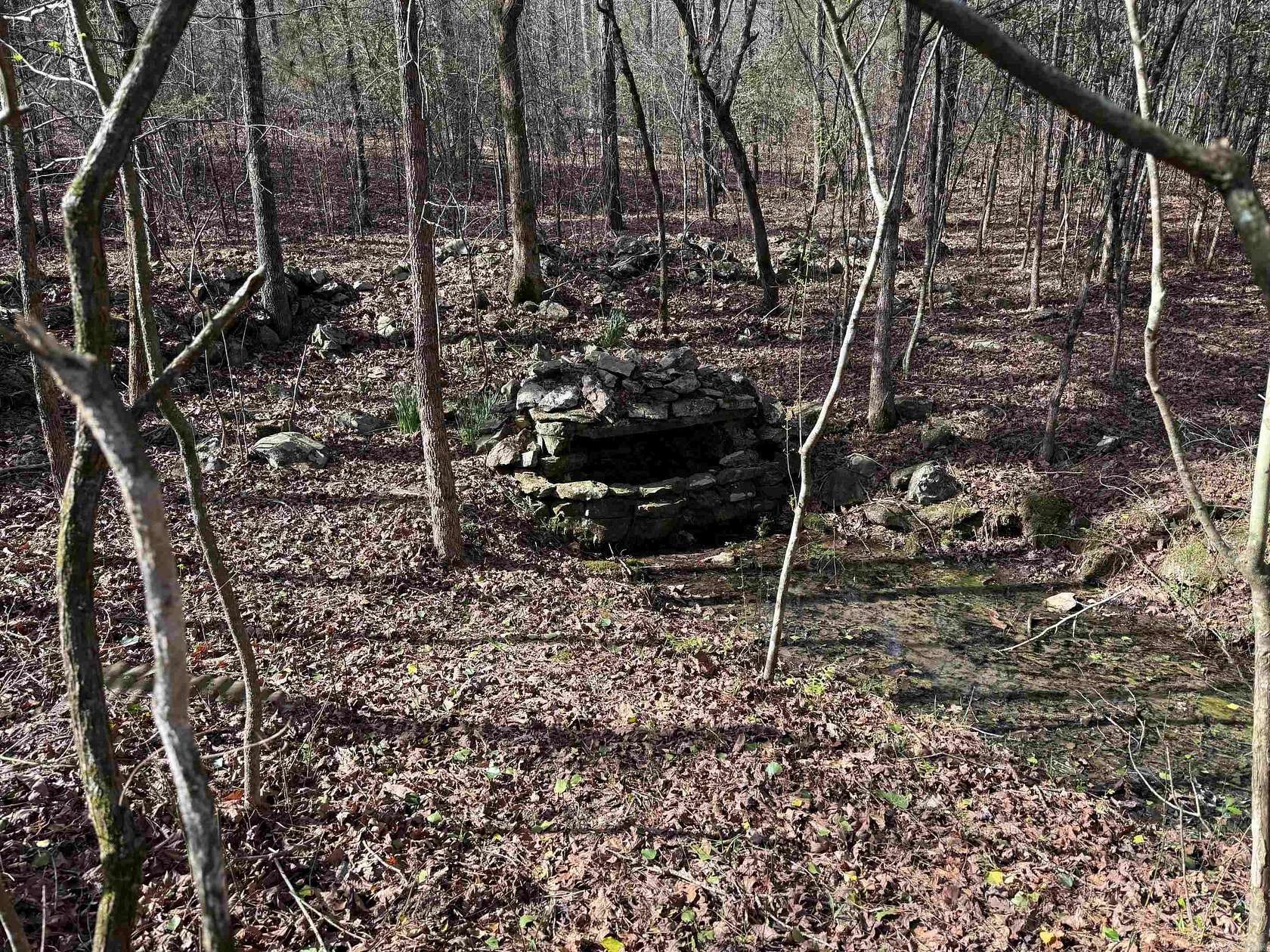 6 Acres of Land for Sale in Wickes, Arkansas