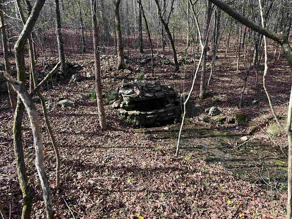 6 Acres of Land for Sale in Wickes, Arkansas