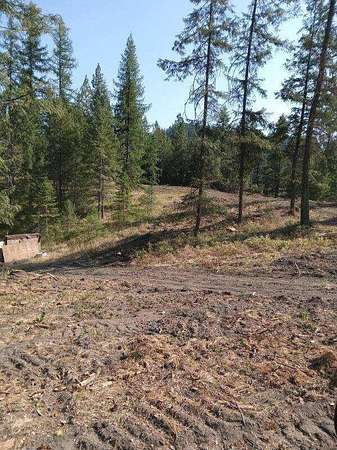 5 Acres of Residential Land for Sale in Colville, Washington
