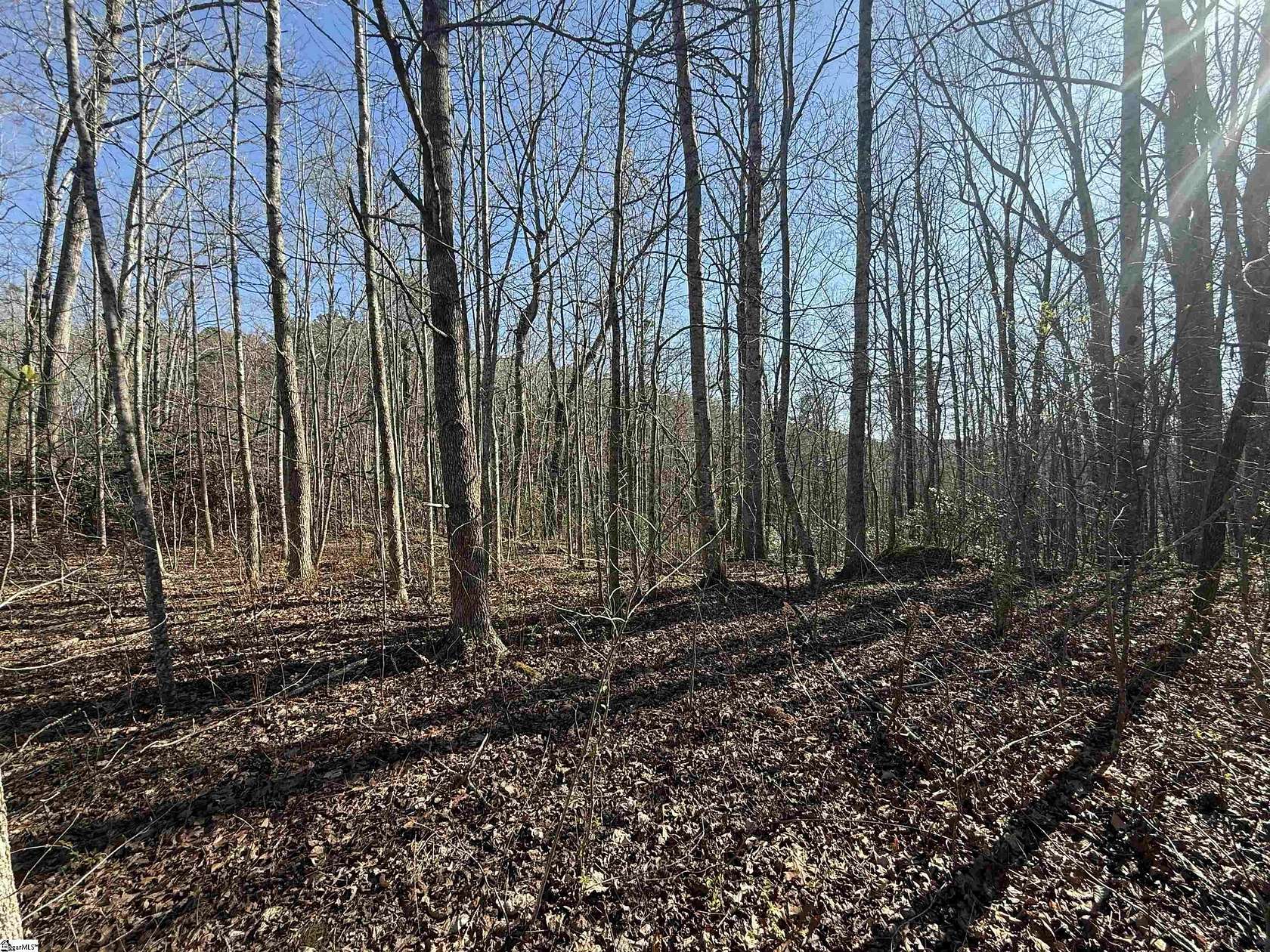 1 Acre of Residential Land for Sale in Travelers Rest, South Carolina