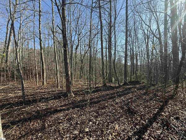 1 Acre of Residential Land for Sale in Travelers Rest, South Carolina