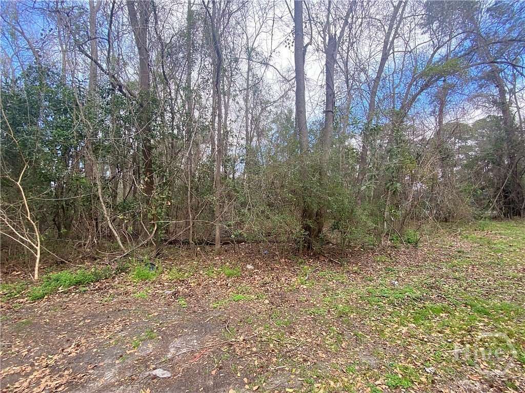 0.29 Acres of Residential Land for Sale in Savannah, Georgia